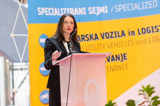 Sejmi Avto in vzdrževanje, Gospodarska vozila in logistika ter Moto boom