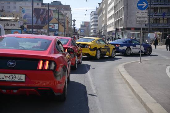 Neukrotljivi mustangi so teden dni zganjali vragolije po Ljubljani