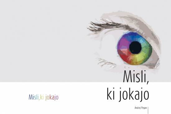 Misli, ki jokajo - knjiga o življenju po prometni nesreči