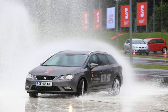 Cupra dan uspešno zaključen – leon cupra ima novega lastnika!