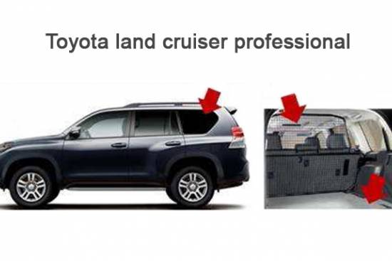 Toyota land cruiser professional