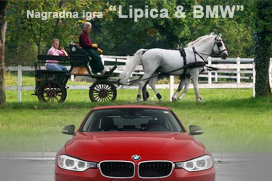Zadnji dan nagradne igre Vikend z bavarskimi in lipicanskimi vranci